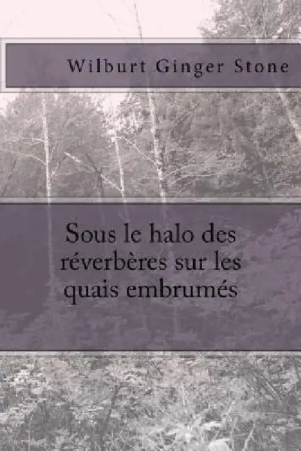 Sous le halo des reverberes sur les quais embrumes by Wilburt Ginger Stone