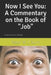 Now I See You: A Commentary on the Book of Job by Darren Fulbright