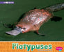 Platypuses: A 4D Book by Sara Louise Kras