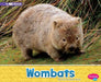 Wombats: A 4D Book by Sara Louise Kras