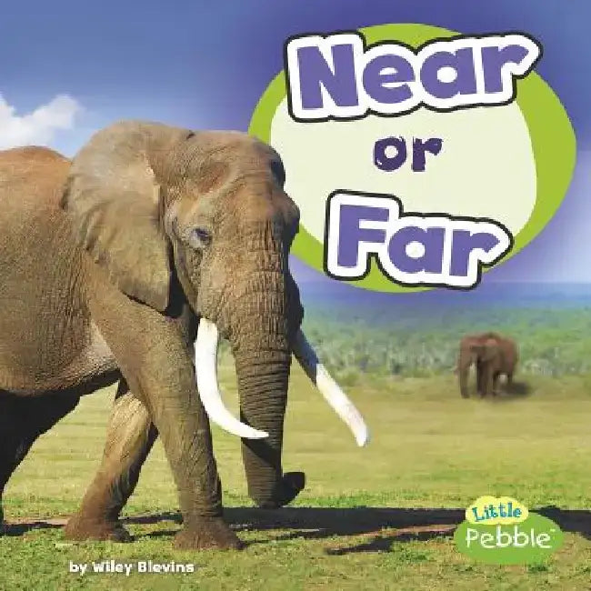 Near or Far by Wiley Blevins