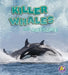 Killer Whales Are Awesome by Jaclyn Jaycox