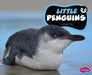 Little Penguins by Jody S. Rake