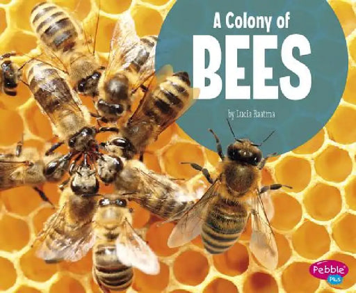 A Colony of Bees by Lucia Raatma