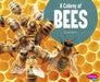 A Colony of Bees by Lucia Raatma