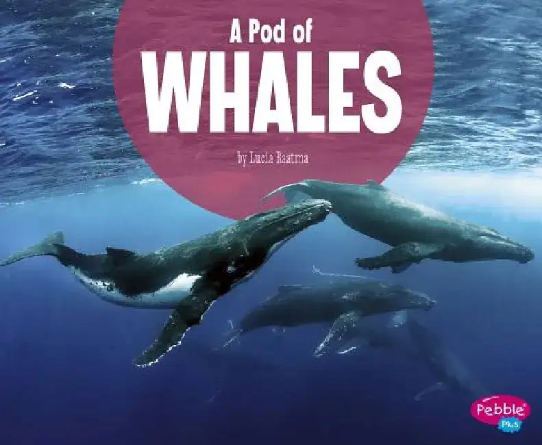 A Pod of Whales by Lucia Raatma