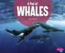 A Pod of Whales by Lucia Raatma