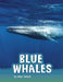 Blue Whales by Mari Schuh