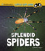 Splendid Spiders by Melissa Higgins