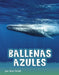 Ballenas Azules by Mari C. Schuh