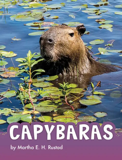 Capybaras by Martha Elizabeth Hillman Rustad