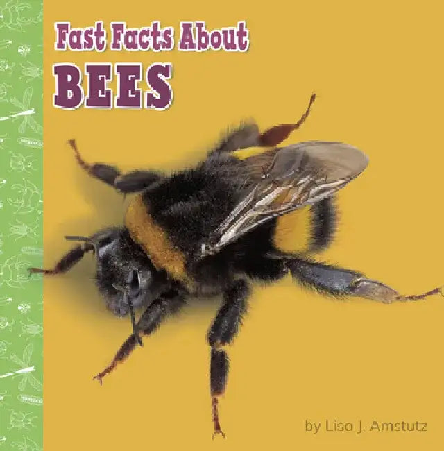 Fast Facts about Bees by Lisa J. Amstutz