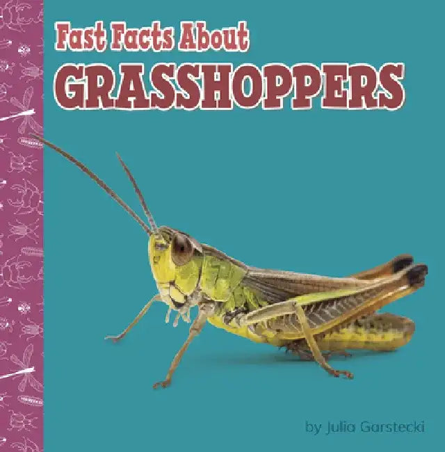 Fast Facts about Grasshoppers by Julia Garstecki-Derkovitz