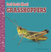 Fast Facts about Grasshoppers by Julia Garstecki-Derkovitz