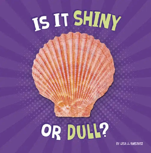 Is It Shiny or Dull? by Lisa J. Amstutz