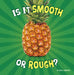 Is It Smooth or Rough? by Lisa J. Amstutz