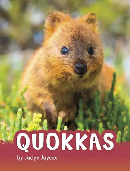 Quokkas by Jaclyn Jaycox