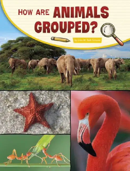 How Are Animals Grouped? by Lisa M. Bolt Simons