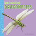 Fast Facts about Dragonflies by Julia Garstecki-Derkovitz
