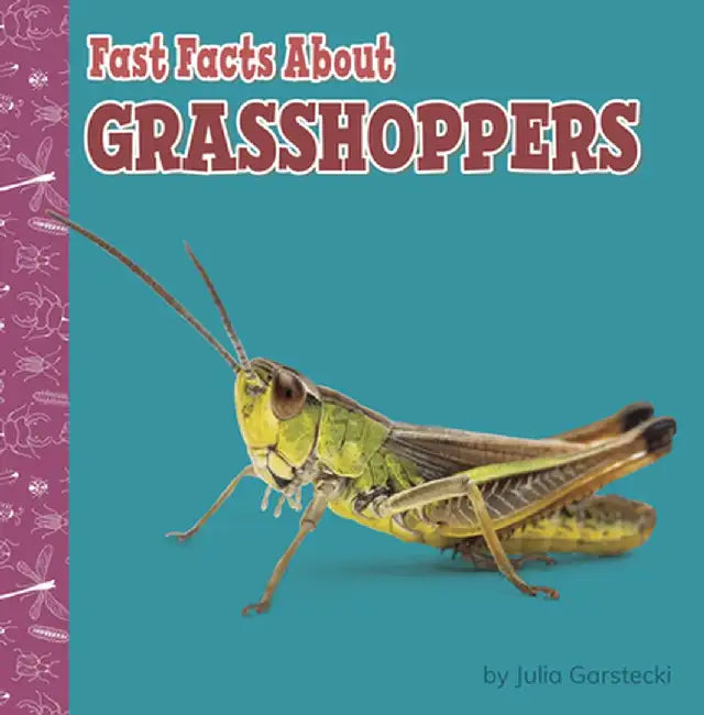 Fast Facts about Grasshoppers by Julia Garstecki