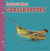 Fast Facts about Grasshoppers by Julia Garstecki