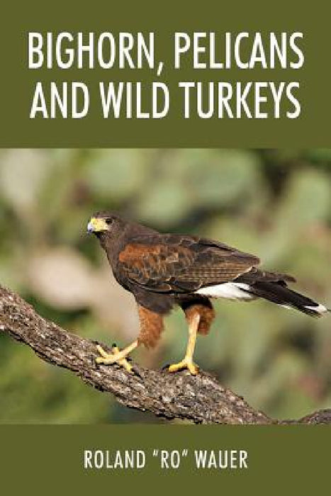 Bighorn, Pelicans and Wild Turkeys by Roland Ro Wauer