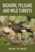 Bighorn, Pelicans and Wild Turkeys by Roland Ro Wauer