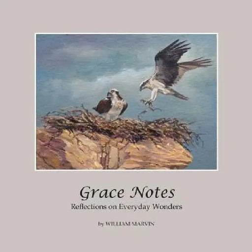 Grace Notes: Reflections on Everyday Wonders by William Marvin