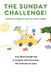 The Sunday Challenge! A Master's Guide to Virtual Family Games by Hoffstaetter, Michelle