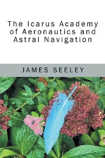 The Icarus Academy of Aeronautics and Astral Navigation by James Seeley