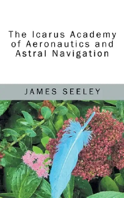 The Icarus Academy of Aeronautics and Astral Navigation by James Seeley
