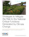 Strategies to Mitigate the Risk to the National Critical Functions Generated by Climate Change by Andrew Lauland