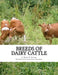 Breeds of Dairy Cattle by Alvord, Henry E.