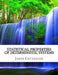 Statistical Properties of Deterministic Systems by James Cavanaugh