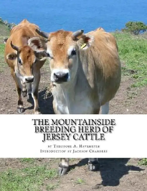 The Mountainside Breeding Herd of Jersey Cattle: of Mahwah, New Jersey by Jackson Chambers