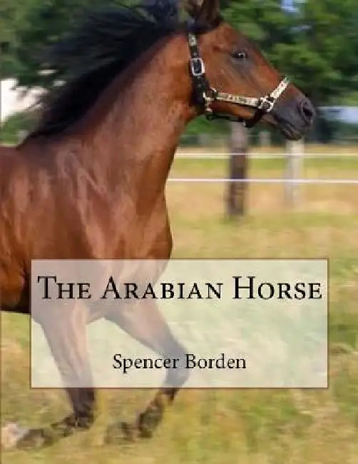 The Arabian Horse by Jackson Chambers