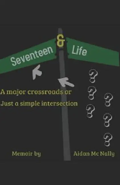 17 & Life: Corner or Crossroads ? by Aidan MC Nally