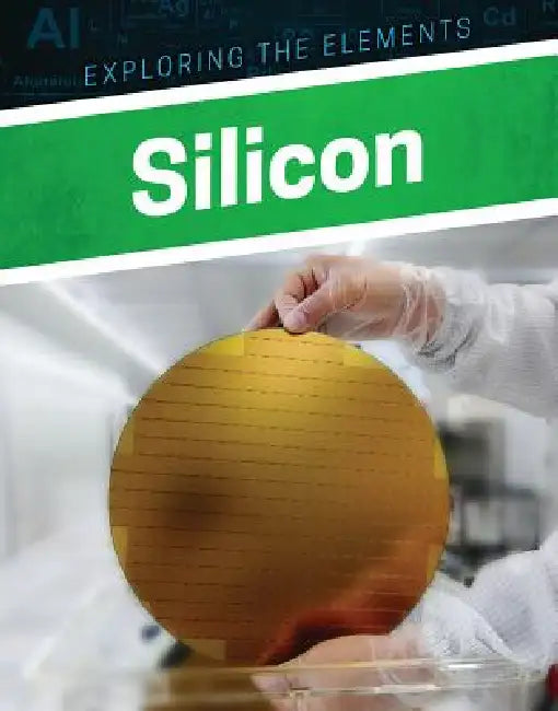 Silicon by Clara Maccarald