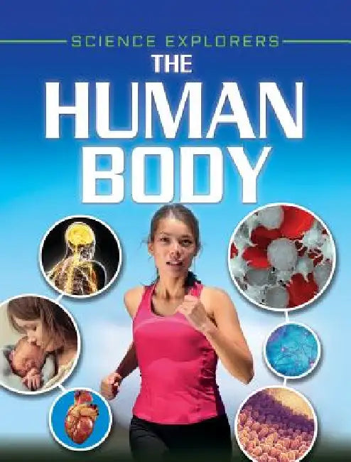 The Human Body by Clare Hibbert