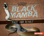 Black Mamba: Fast and Deadly by Natalie K. Humphrey