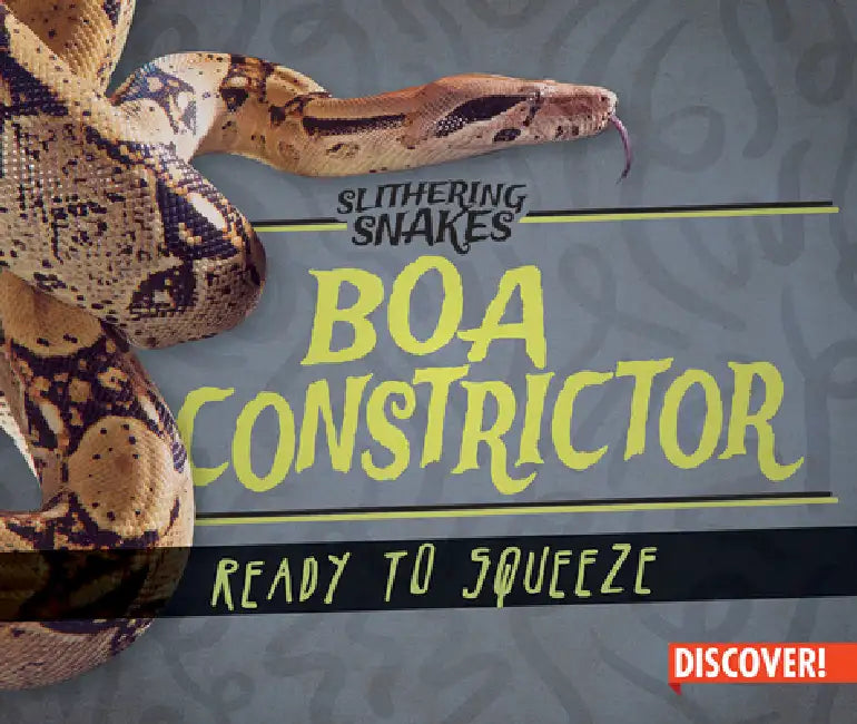 Boa Constrictor: Ready to Squeeze by Natalie K. Humphrey