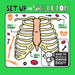 Set Up the Skeleton by Kirsty Holmes