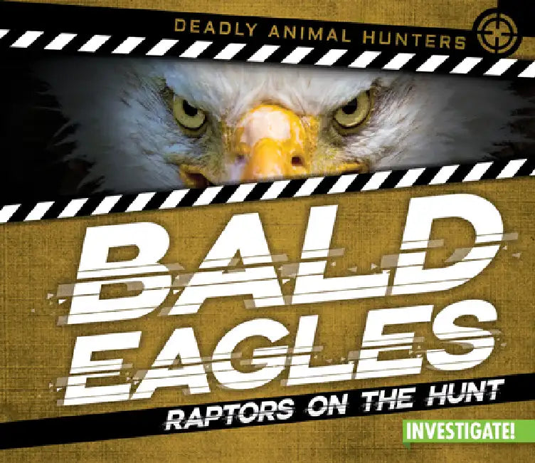 Bald Eagles: Raptors on the Hunt by Charlotte Taylor
