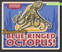 Beware the Blue-Ringed Octopus! by Howard Phillips