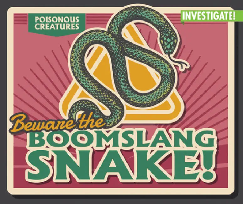 Beware the Boomslang Snake! by Ursula Pang