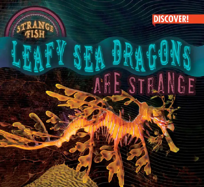 Leafy Sea Dragons Are Strange by Tom Plunkett