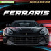 Ferraris by Theresa Emminizer
