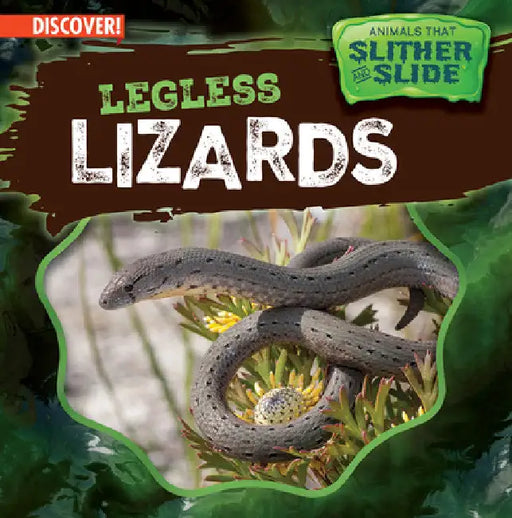 Legless Lizards by Theresa Emminizer