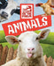 Animals by Warren Singer