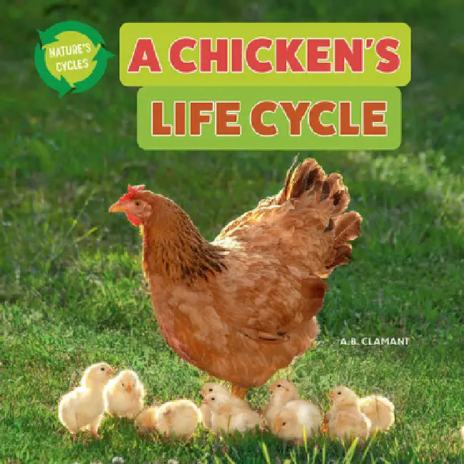 A Chicken's Life Cycle by Clamant, A. B.